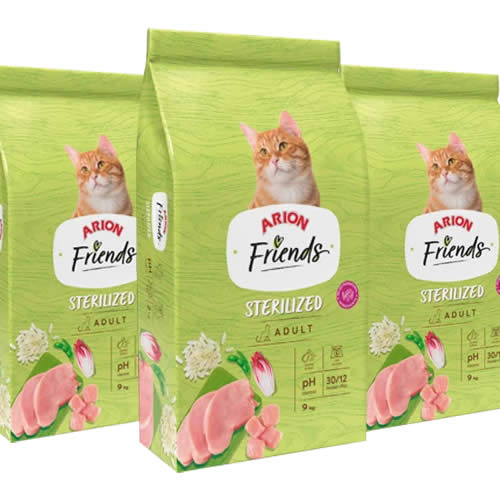 arionCatsFriendsSterelized